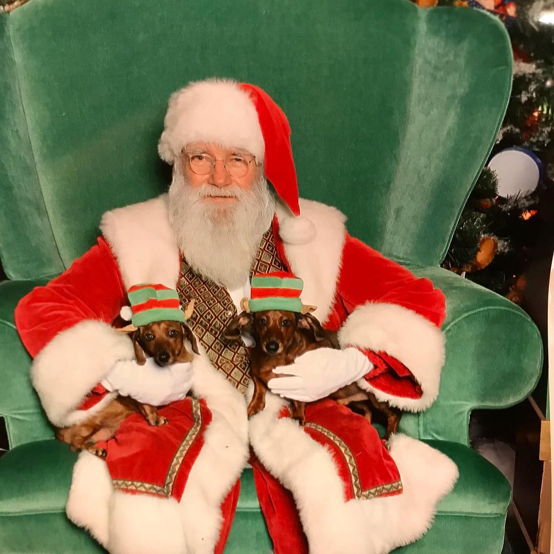 pet Santa photos