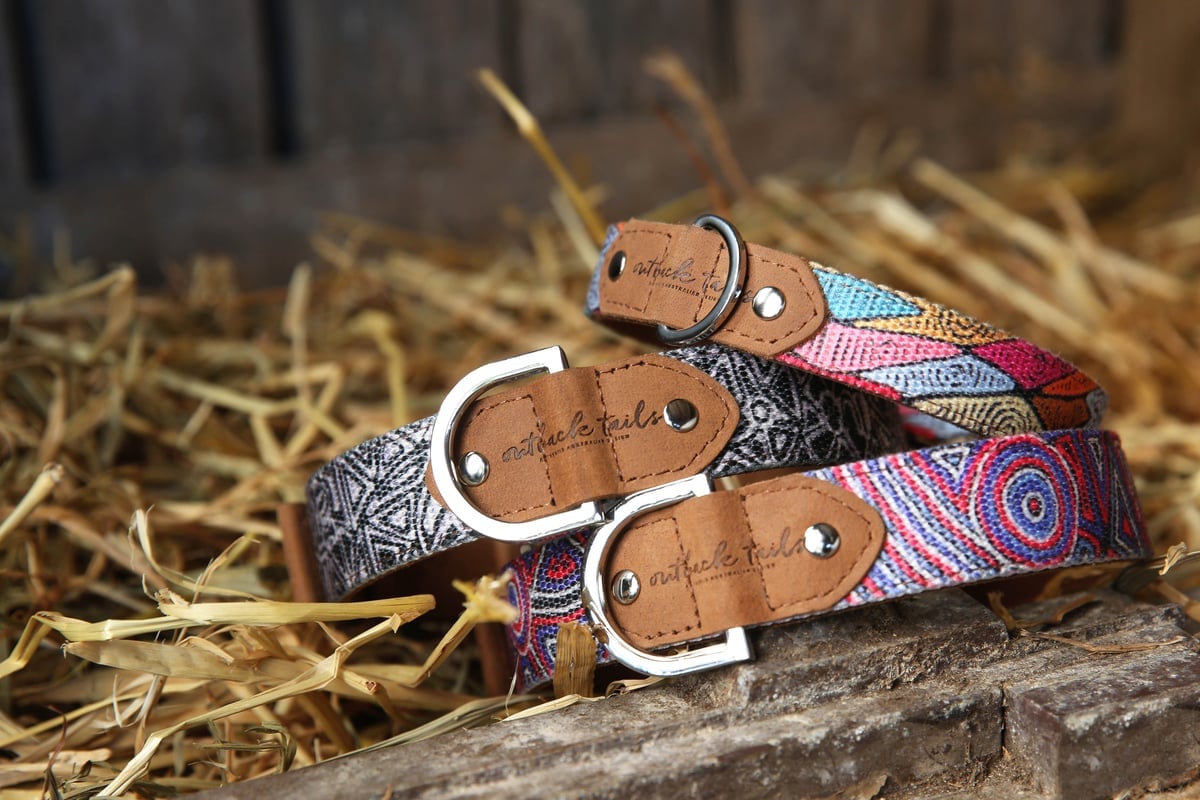 painted dog collars