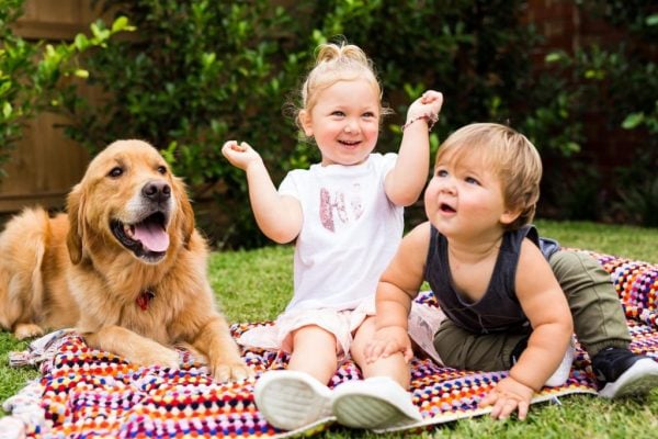 are puppies good for toddlers