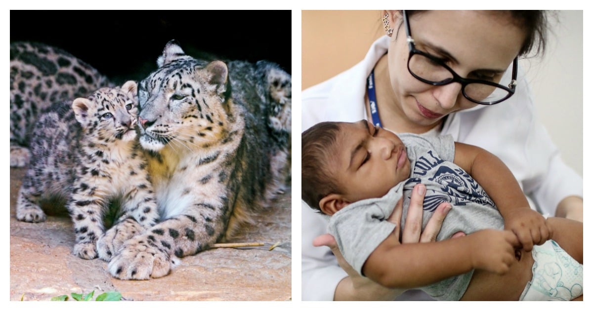 WHAT HAPPENED IN 2017 THAT WAS IMPORTANT visual data 7