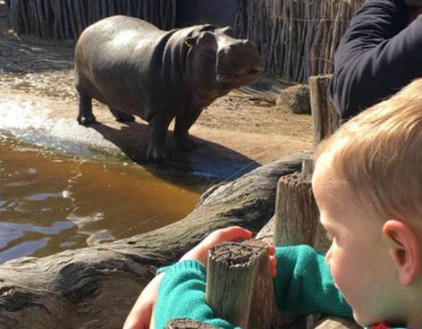 Melbourne Zoo