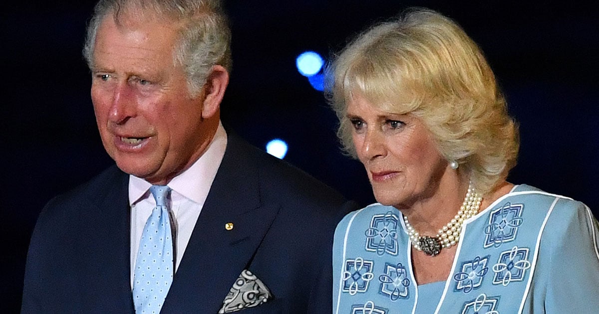 Camilla's opening ceremony face forces palace explanation.