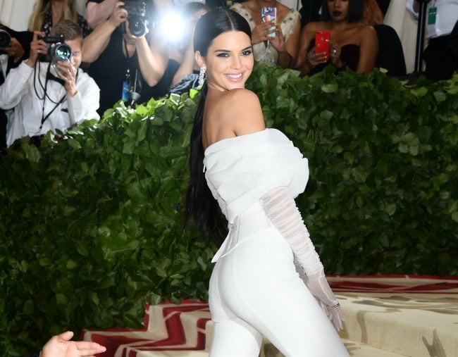 Kendall Jenner Met Gala 2018 Pushes Security Guard