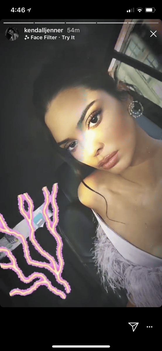 cdfa awards 2018 kendall jenner