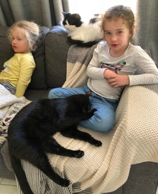 pets and kids