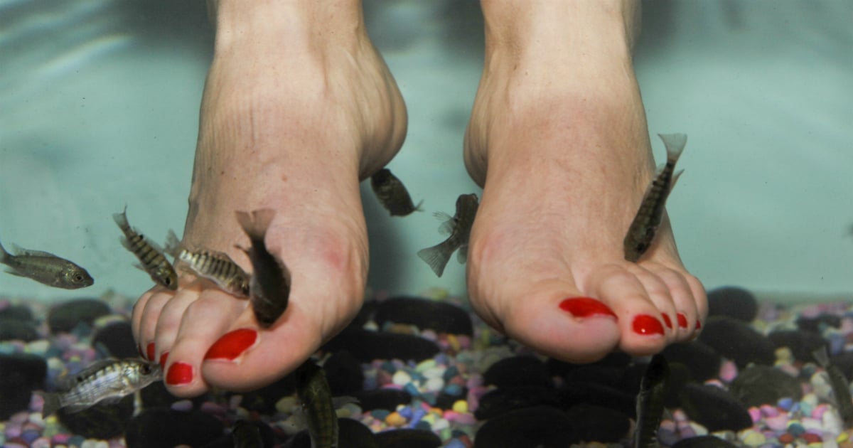 fish-spa-horrifying-side-effect-of-a-fish-pedicure-that-ll-make-you-shudder