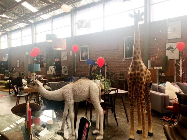 Matt Blatt showroom