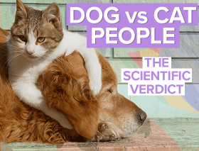 dog cat personality traits