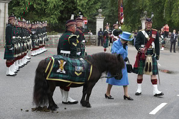 Queen Elizabeth pony