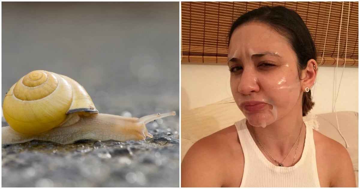 Snail Slime Face Mask The New Secret To Great Skincare 
