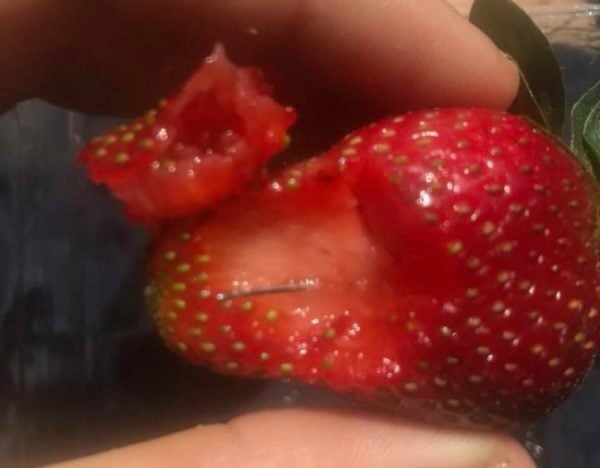 needle in strawberry