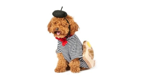 french-toast-dog-costume
