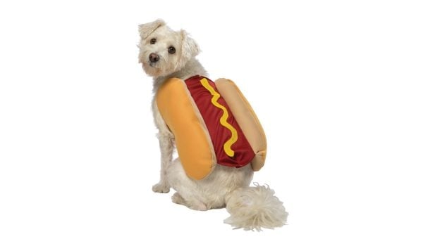dog-costume-hot-dog