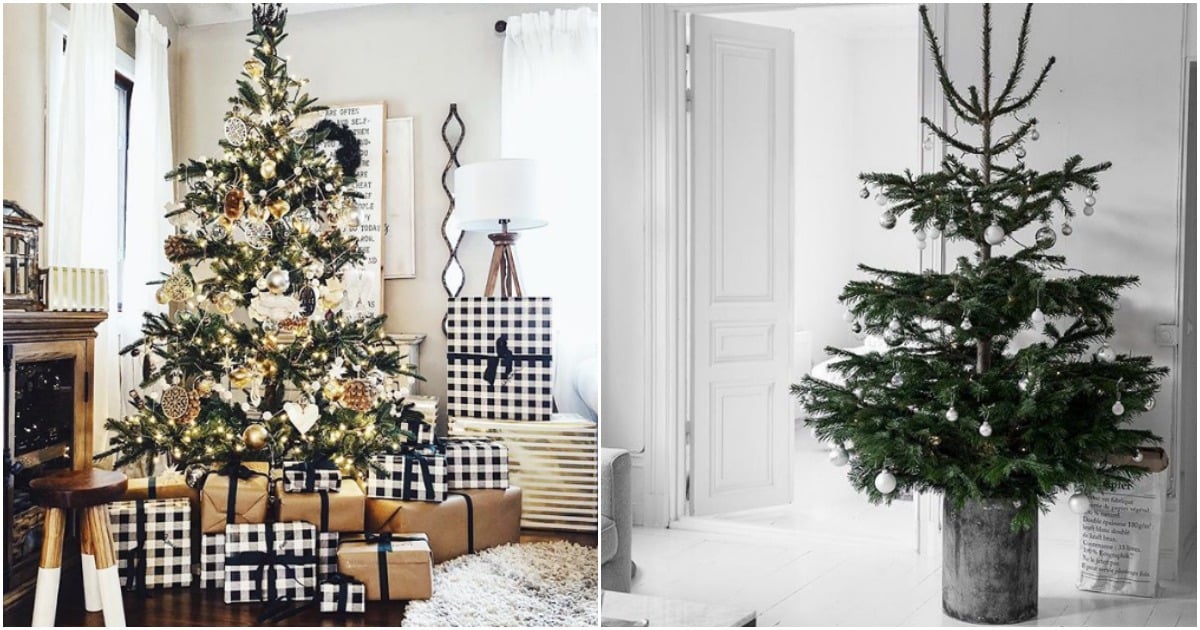 Christmas tree ideas: The best decorations and themes for a unique tree.