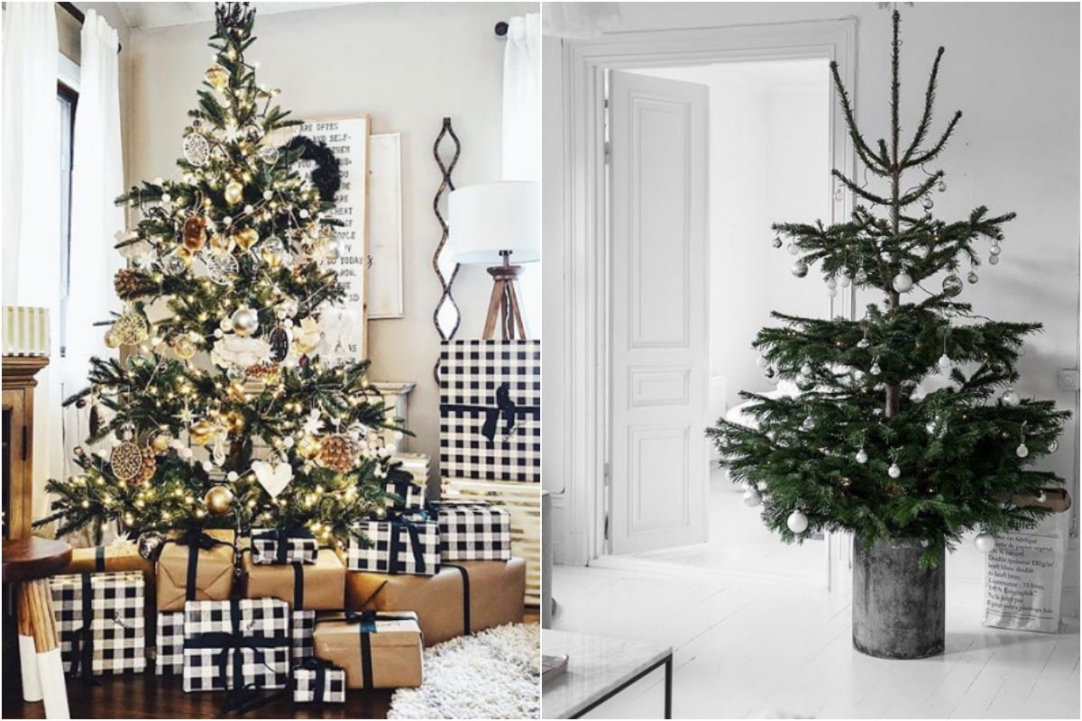 Christmas tree ideas: The best and themes for a