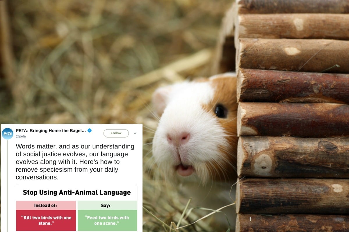 PETA\u002639;s plea for people to stop using \u002639;antianimal language\u002639; gets backlash.