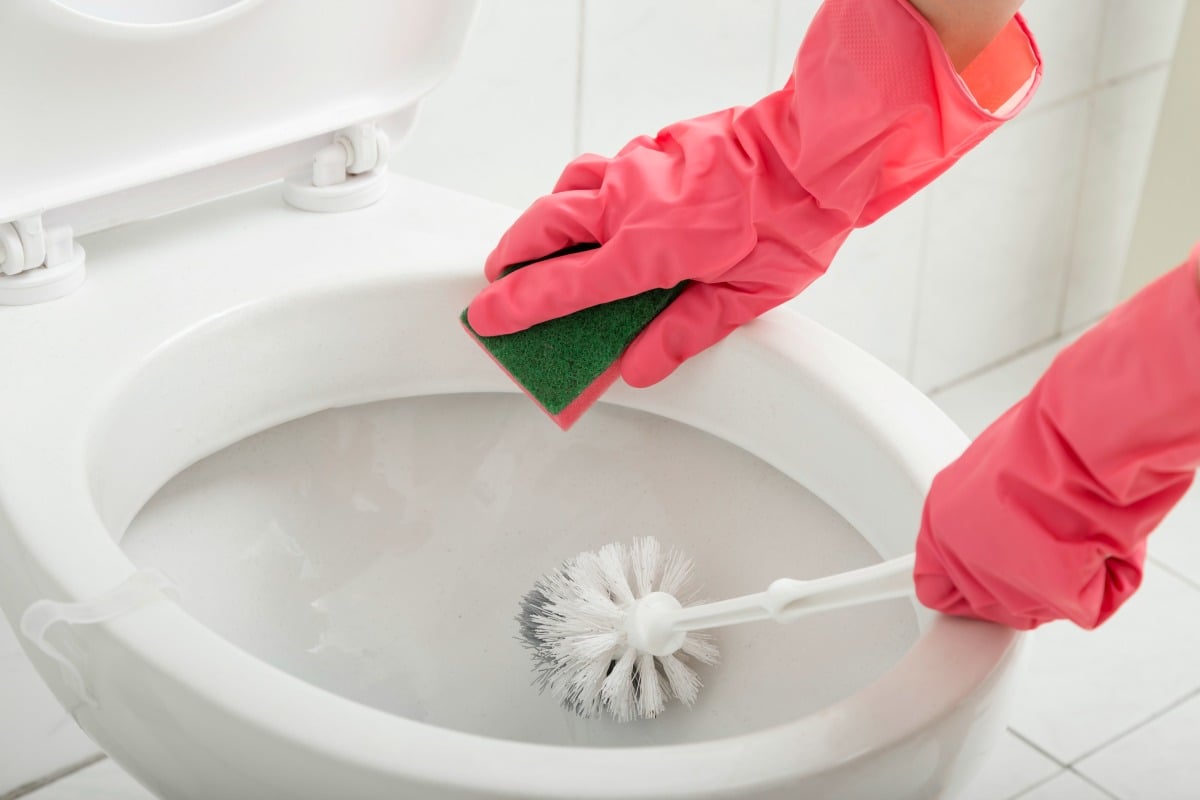 How To Clean Toilet Brushes And Brush Holders? - Bond Cleaning In Melbourne