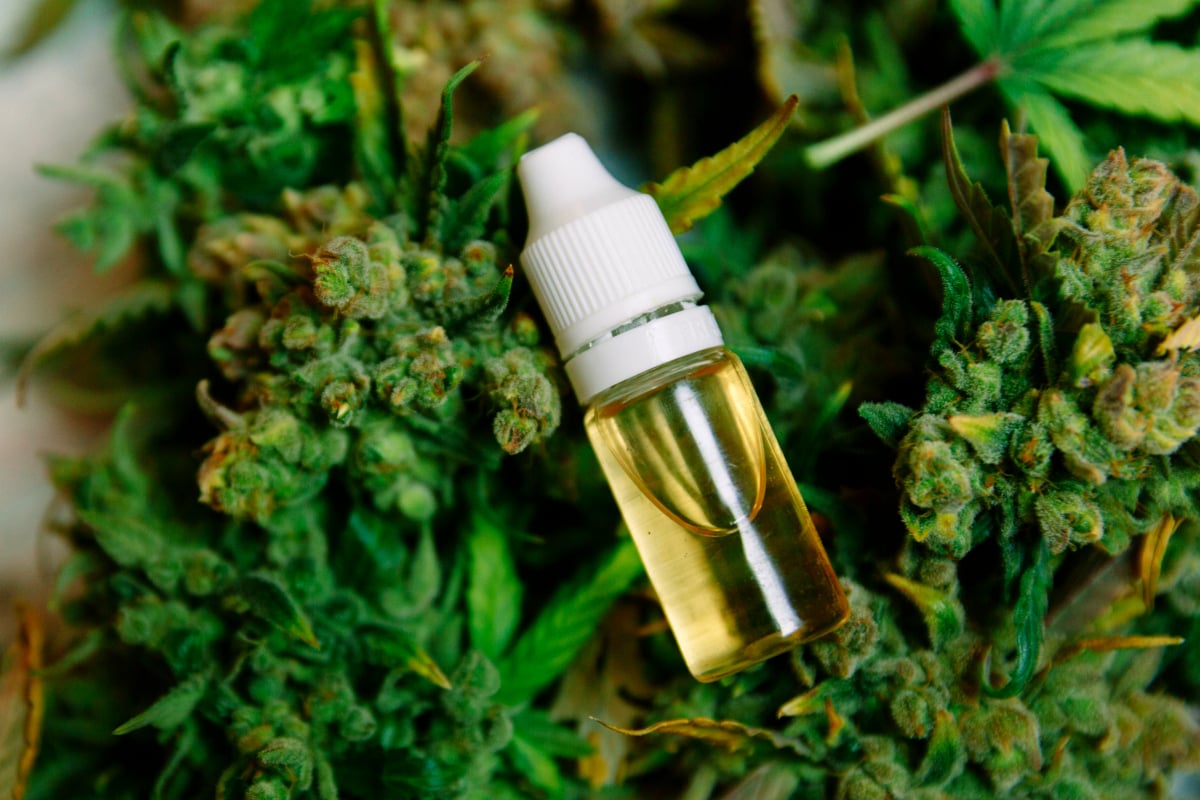 Cannabis oil and CBD oil in Australia: Everything you need to know.