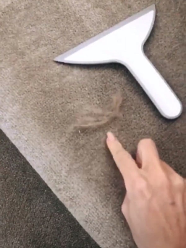 carpet-cleaning-hack