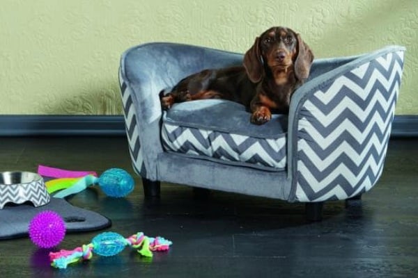 Aldi shop dog couch