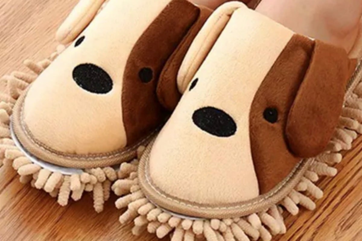vision Arctic kompensation BEHOLD: the dog mop slippers that dust or mop your floors as you walk.