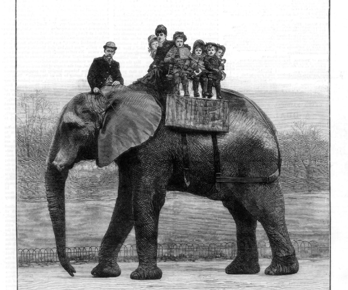 jumbo-the-elephant