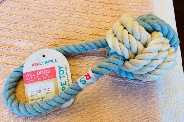 safe dog toys