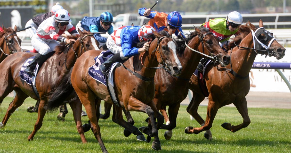 melbourne-cup-2019-why-you-should-not-celebrate-this-year