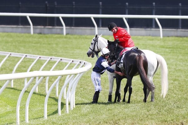 2018 Melbourne Cup Day