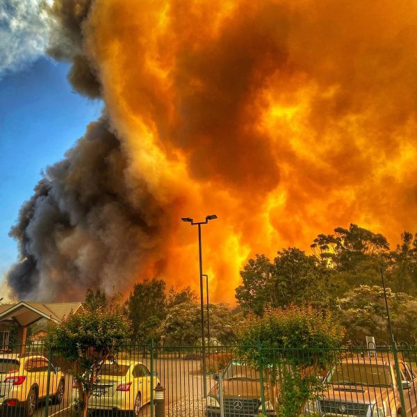 nsw bushfires photos 2019