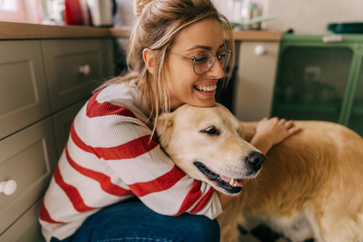 apartment dogs australia