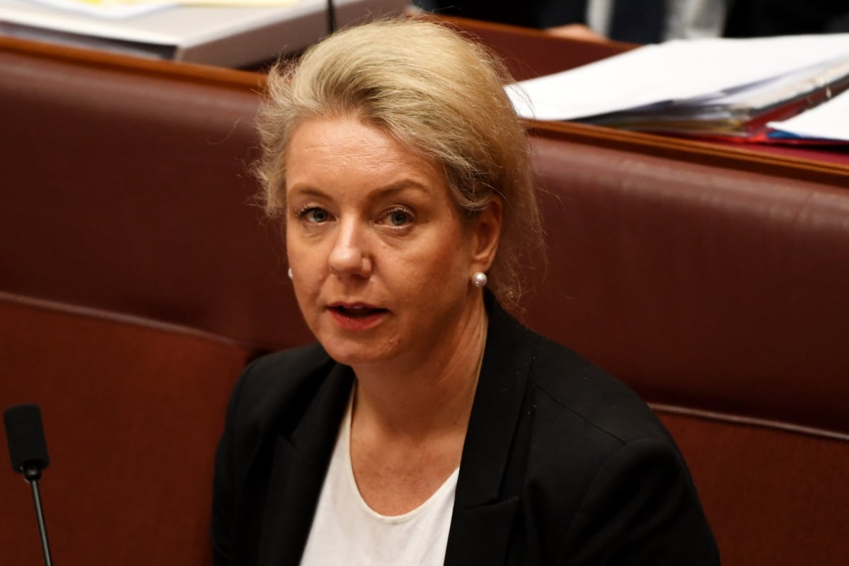 Bridget McKenzie has resigned. Image: Getty.