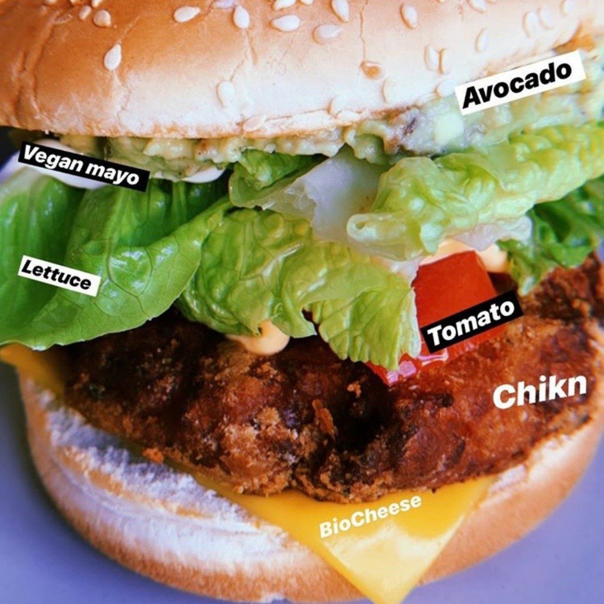 best vegan burgers