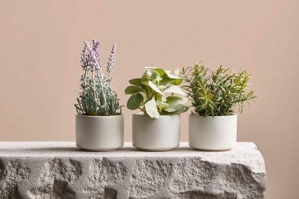 Target-Faux-lavender-plant-in-white-pot-RRP-6-faux-sage-plant-in-pot-RRP-6-faux-rosemary-plant-in-white-pot-RRP-6-1