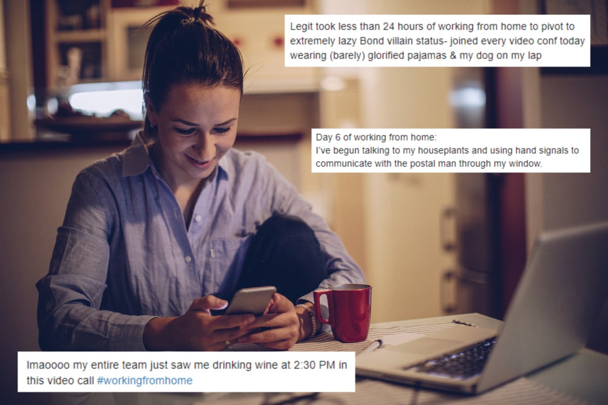 Working From Home Meme The Funniest Memes And Tweets Right Now