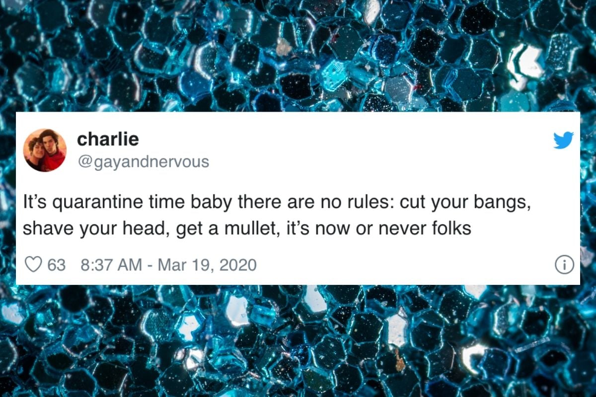 23 Quarantine Memes To Make You Laugh Instead of Cry - A Bubbly Life