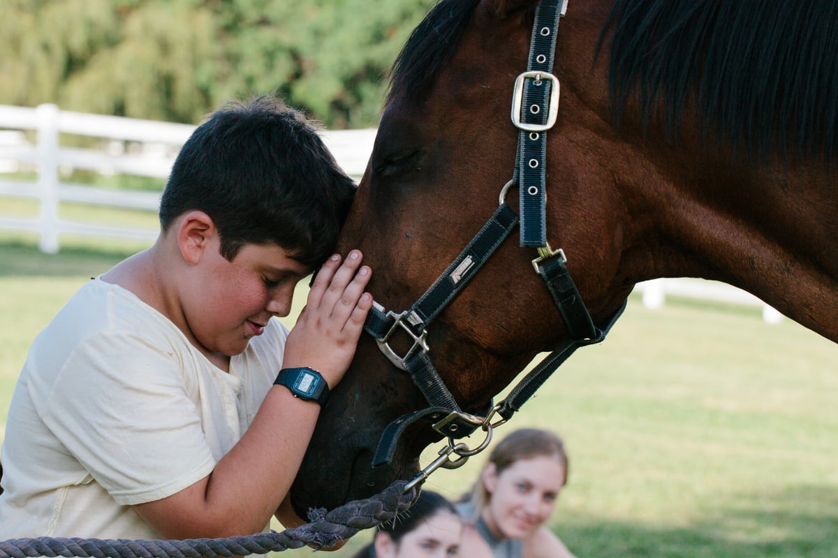 horse therapy