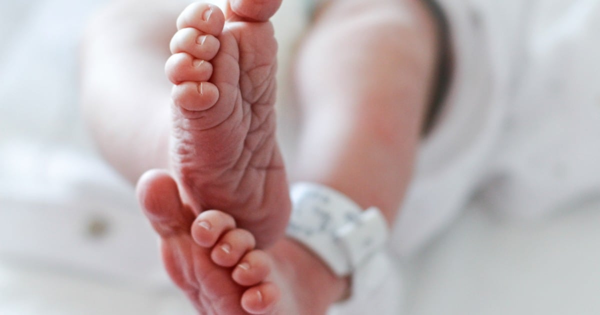 covid baby boom covid baby boom