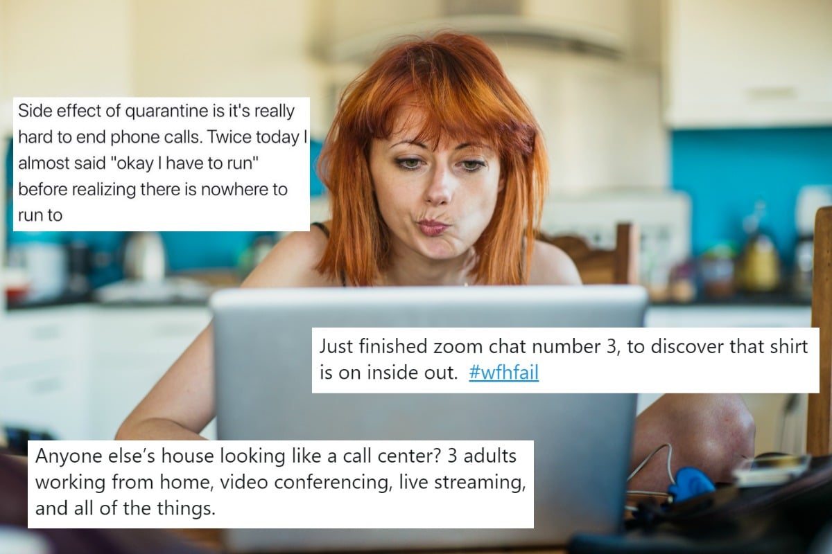 23 funny working from home memes to describe video calls ...