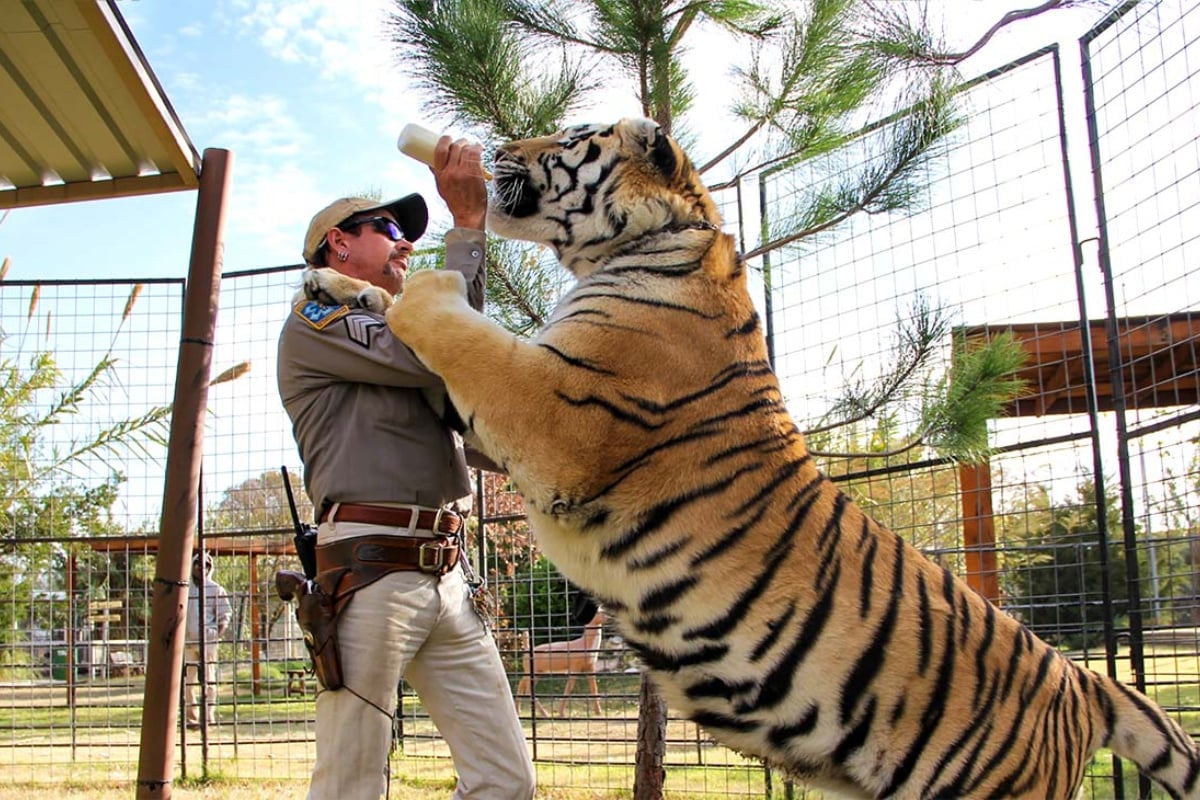 tiger king animal abuse
