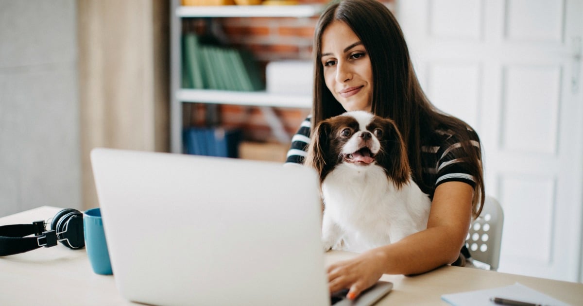 6 things people who are working from home with dogs know to be true.