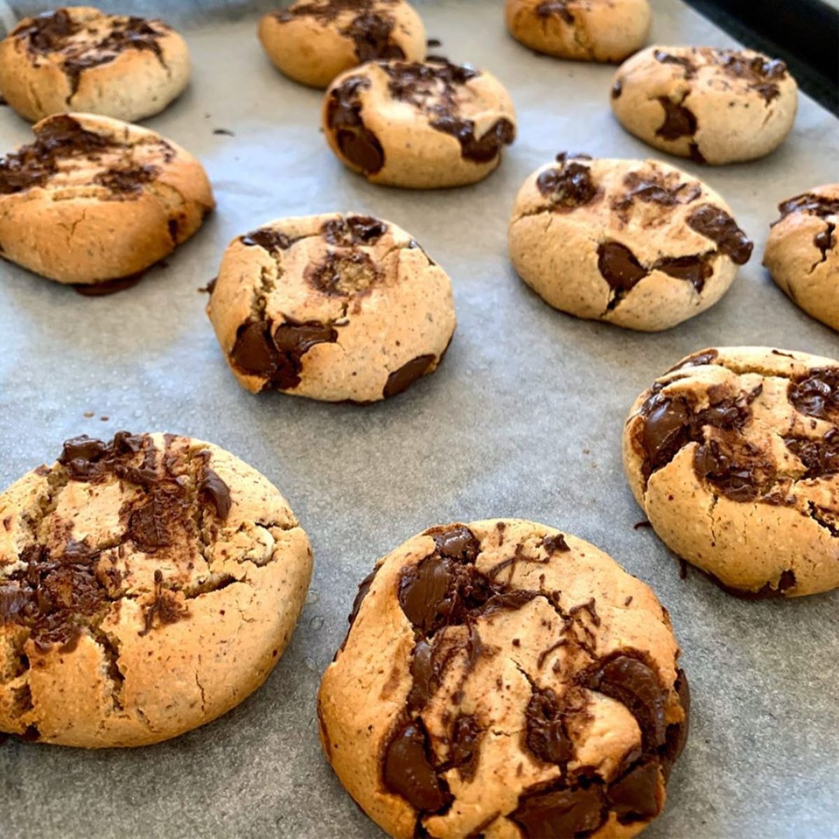 paleo choc chip cookies